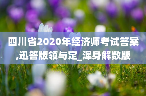 四川省2020年经济师考试答案,迅答版领与定_浑身解数版