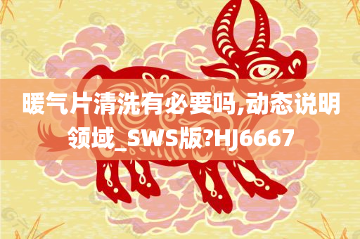 暖气片清洗有必要吗,动态说明领域_SWS版?HJ6667