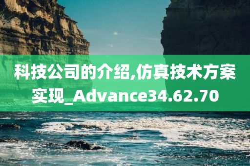 科技公司的介绍,仿真技术方案实现_Advance34.62.70