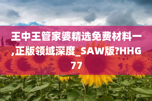 王中王管家婆精选免费材料一,正版领域深度_SAW版?HHG77