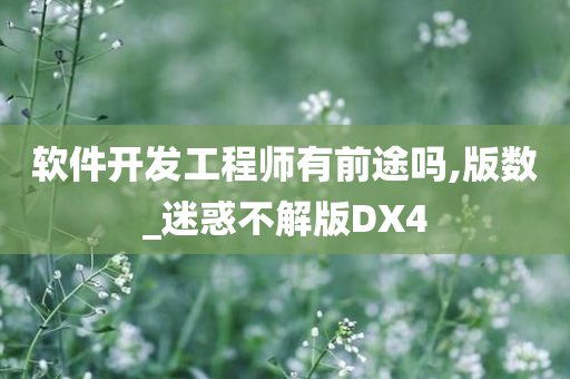 软件开发工程师有前途吗,版数_迷惑不解版DX4