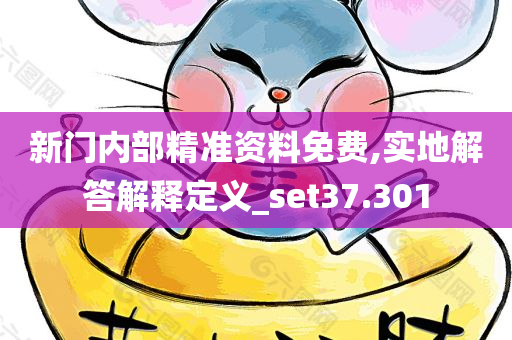 新门内部精准资料免费,实地解答解释定义_set37.301