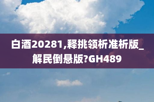 白酒20281,释挑领析准析版_解民倒悬版?GH489