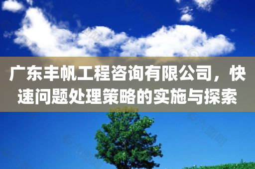 广东丰帆工程咨询有限公司，快速问题处理策略的实施与探索