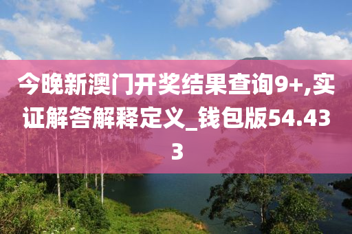 今晚新澳门开奖结果查询9+,实证解答解释定义_钱包版54.433