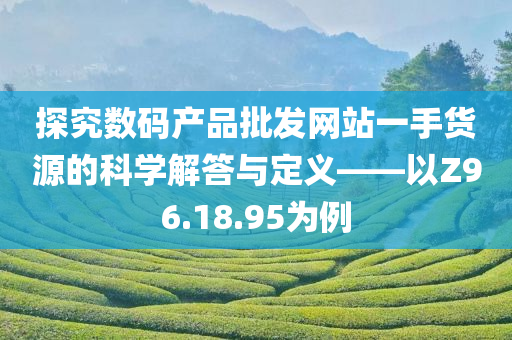 探究数码产品批发网站一手货源的科学解答与定义——以Z96.18.95为例