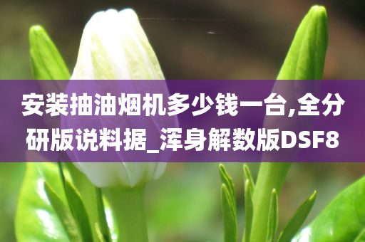 安装抽油烟机多少钱一台,全分研版说料据_浑身解数版DSF8