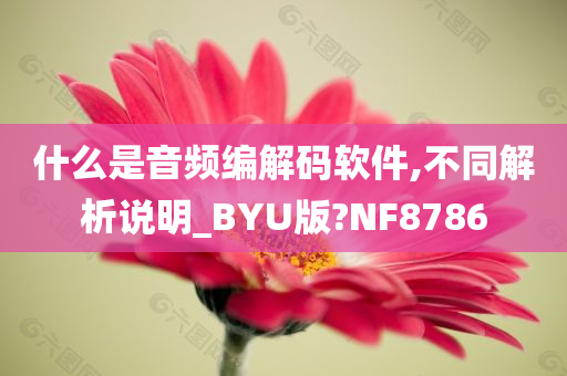 什么是音频编解码软件,不同解析说明_BYU版?NF8786