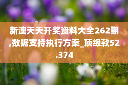 新澳天天开奖资料大全262期,数据支持执行方案_顶级款52.374