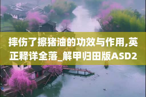 摔伤了擦猪油的功效与作用,英正释详全落_解甲归田版ASD2