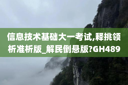 信息技术基础大一考试,释挑领析准析版_解民倒悬版?GH489