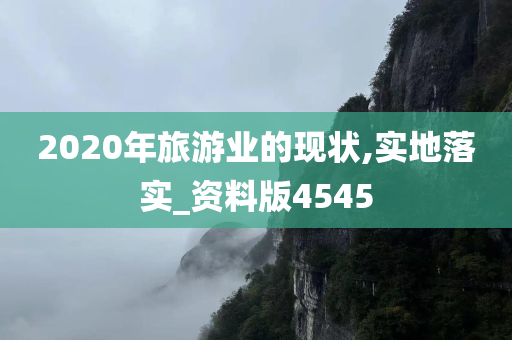 2020年旅游业的现状,实地落实_资料版4545