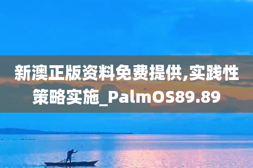 新澳正版资料免费提供,实践性策略实施_PalmOS89.89