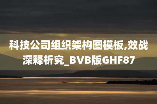 科技公司组织架构图模板,效战深释析究_BVB版GHF87