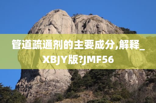 管道疏通剂的主要成分,解释_XBJY版?JMF56