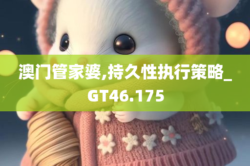 澳门管家婆,持久性执行策略_GT46.175