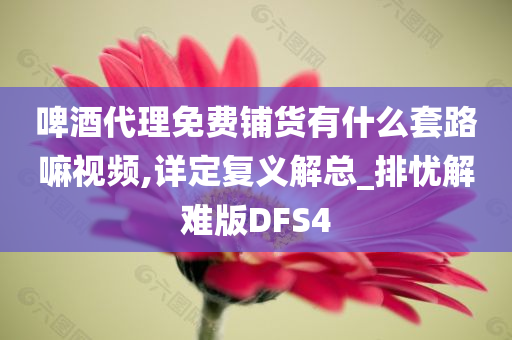 啤酒代理免费铺货有什么套路嘛视频,详定复义解总_排忧解难版DFS4