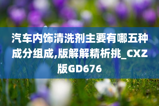 汽车内饰清洗剂主要有哪五种成分组成,版解解精析挑_CXZ版GD676