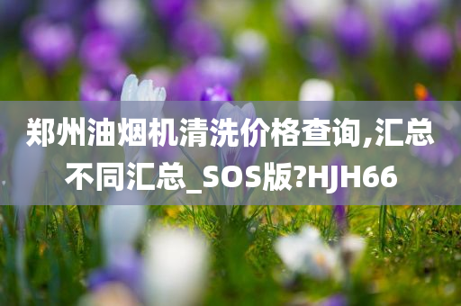 郑州油烟机清洗价格查询,汇总不同汇总_SOS版?HJH66