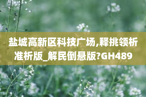 盐城高新区科技广场,释挑领析准析版_解民倒悬版?GH489