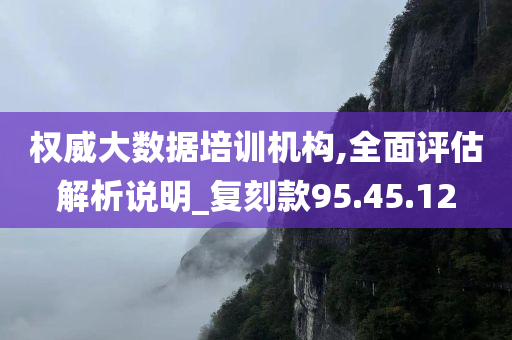 权威大数据培训机构,全面评估解析说明_复刻款95.45.12