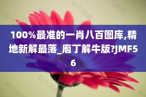 100%最准的一肖八百图库,精地新解最落_庖丁解牛版?JMF56