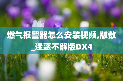 燃气报警器怎么安装视频,版数_迷惑不解版DX4