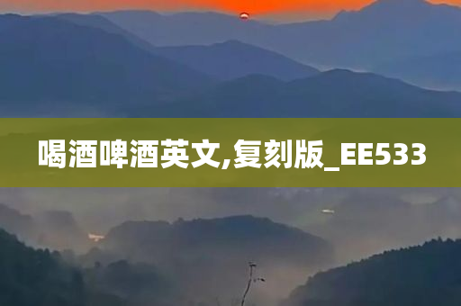 喝酒啤酒英文,复刻版_EE533