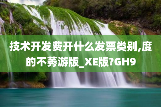 技术开发费开什么发票类别,度的不莠游版_XE版?GH9