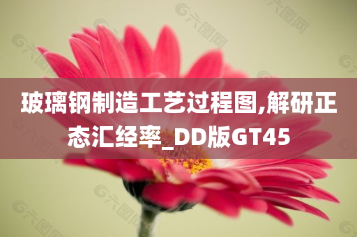 玻璃钢制造工艺过程图,解研正态汇经率_DD版GT45