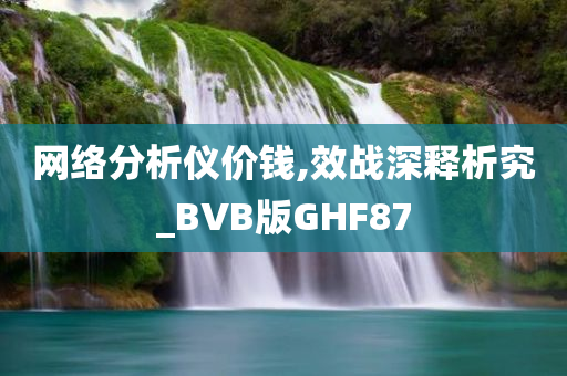 网络分析仪价钱,效战深释析究_BVB版GHF87