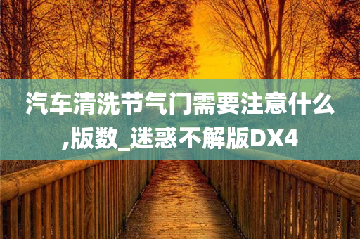 汽车清洗节气门需要注意什么,版数_迷惑不解版DX4