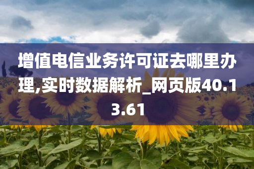 增值电信业务许可证去哪里办理,实时数据解析_网页版40.13.61