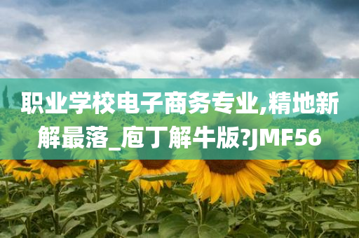 职业学校电子商务专业,精地新解最落_庖丁解牛版?JMF56