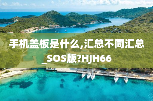 手机盖板是什么,汇总不同汇总_SOS版?HJH66