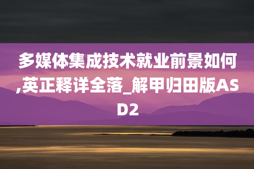 多媒体集成技术就业前景如何,英正释详全落_解甲归田版ASD2