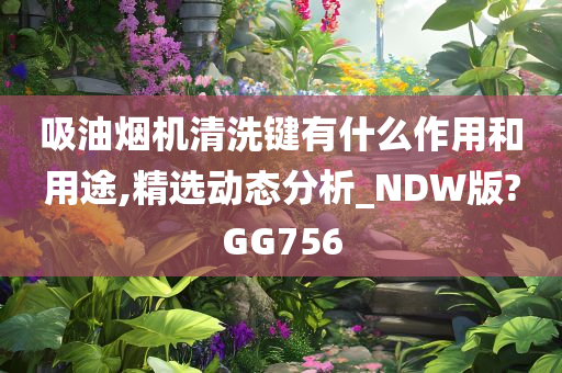 吸油烟机清洗键有什么作用和用途,精选动态分析_NDW版?GG756