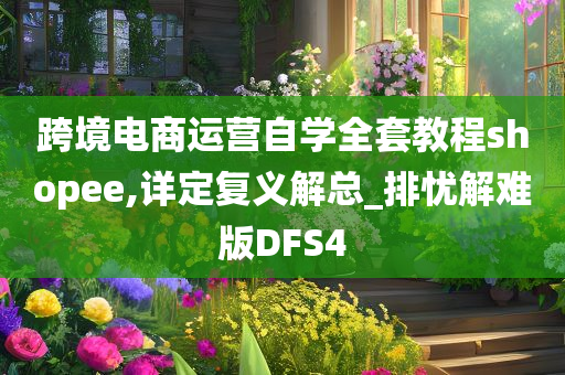 跨境电商运营自学全套教程shopee,详定复义解总_排忧解难版DFS4