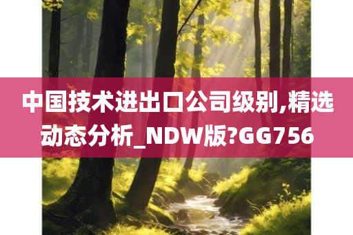 中国技术进出口公司级别,精选动态分析_NDW版?GG756