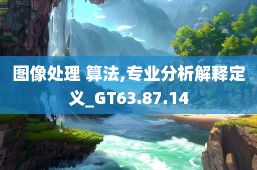 图像处理 算法,专业分析解释定义_GT63.87.14