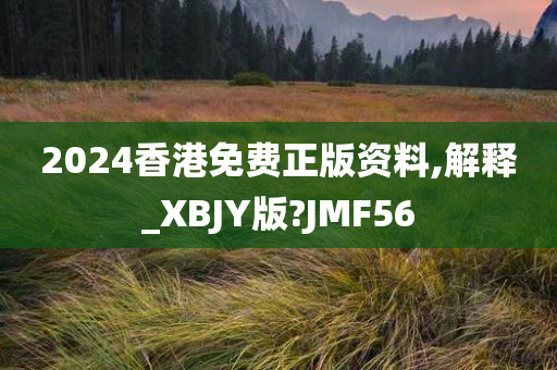 2024香港免费正版资料,解释_XBJY版?JMF56