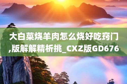 大白菜烧羊肉怎么烧好吃窍门,版解解精析挑_CXZ版GD676