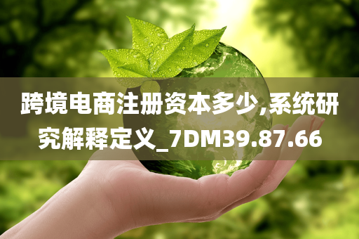 跨境电商注册资本多少,系统研究解释定义_7DM39.87.66