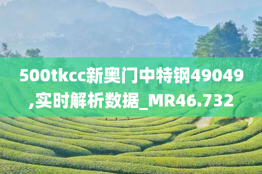 500tkcc新奥门中特钢49049,实时解析数据_MR46.732