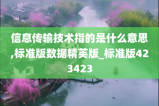 信息传输技术指的是什么意思,标准版数据精英版_标准版423423