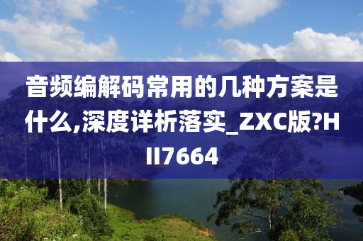 音频编解码常用的几种方案是什么,深度详析落实_ZXC版?HII7664