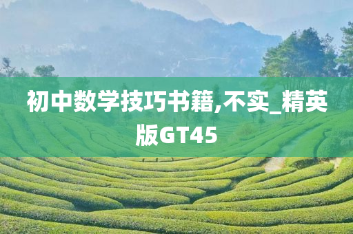 初中数学技巧书籍,不实_精英版GT45