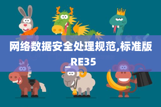 网络数据安全处理规范,标准版_RE35