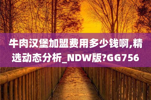 牛肉汉堡加盟费用多少钱啊,精选动态分析_NDW版?GG756