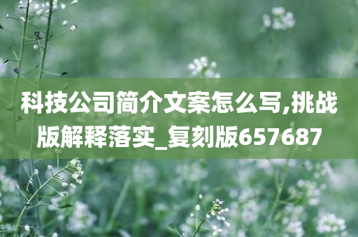 科技公司简介文案怎么写,挑战版解释落实_复刻版657687